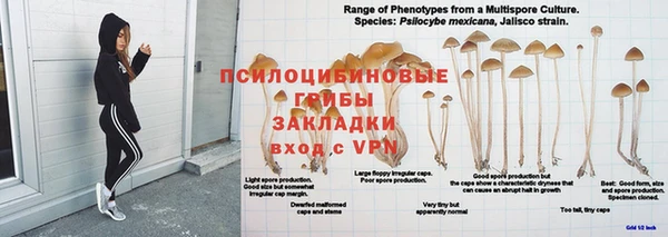 шишки Гусев