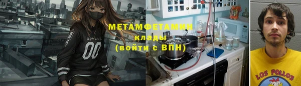 шишки Гусев