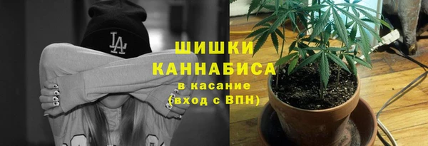 mdpv Гусиноозёрск