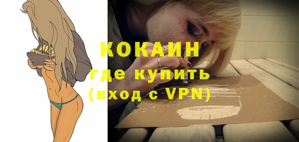 шишки Гусев