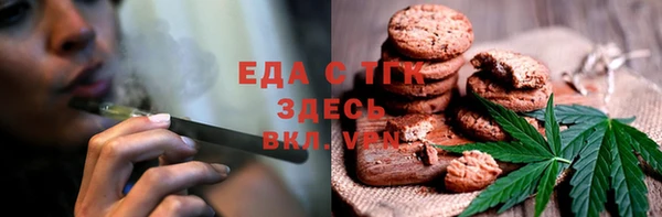 шишки Гусев