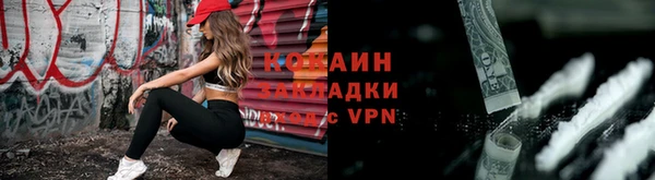 шишки Гусев