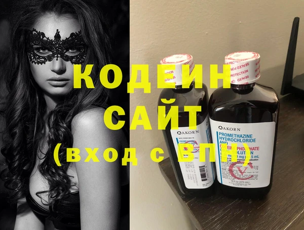 шишки Гусев