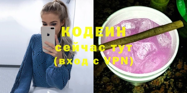шишки Гусев