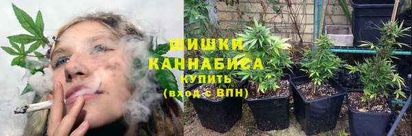 шишки Гусев