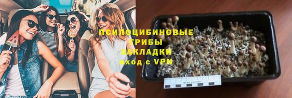 шишки Гусев